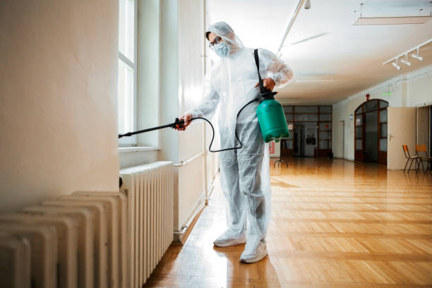 Best Flea Control Services  in Hazardville, CT