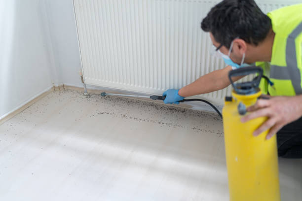 Best Exterminator Services  in Hazardville, CT